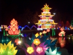 Korea Lotus Lights Festival