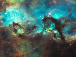 The Seahorse of the Large Magellanic Cloud