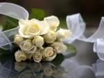 Exquisite white rose