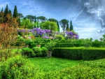 Beautiful Garden