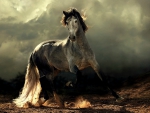 GREY HORSE SPIRIT OF THE WIND