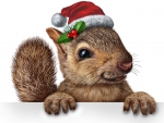 Christmas Squirrel