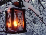 Winter Lantern