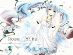 Rose Miku