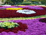 Flower bed