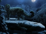 Leopards in snowy night