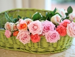 Roses in a basket