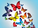 Plethora of Butterflies F2