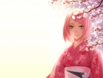 Haruno Sakura