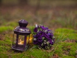 The bouquet and lantern â™¥