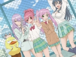 sabagebu! is fun