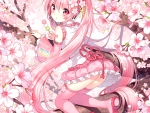 Sakura Miku