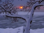 Winter Sunset