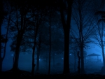 Cold Mist Night