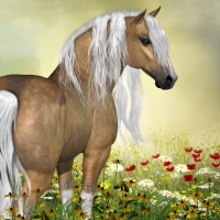 In a field of flowers