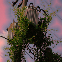 Something's Gotta Give