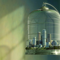 City in a Birdcage