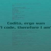 Codito Ergo Sum