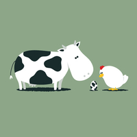 Cow Chicken Egg
