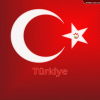 Euro 2008 Turkey Flag