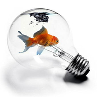 Goldfish in a Lightbulb