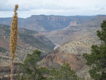 Salt River Canyon - Arizona