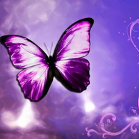 Purple Butterfly
