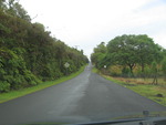 Ihope Street Through Rainforest, Mountain View, Hawaii