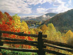 Fall Colors of Gatlinburg Tennessee.