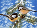 Winter birds