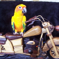 Son-Son on his bike!