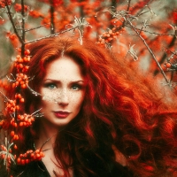 Red Hair Beauty