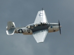 Grumman TBF Avenger