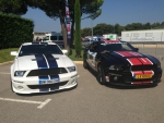 Duo Sheby GT500