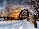 Road Bridge in Winter