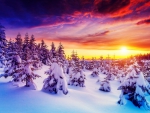 Winter sunrise