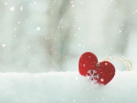 â™¥ Winter