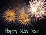 Happy New Year