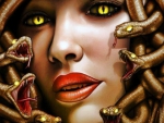 Medusa