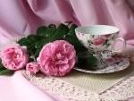 Pink roses  and  cup