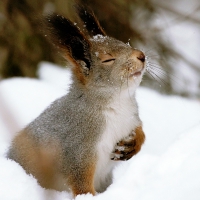 Dear God, please stop the snow !