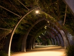 Plant Tunnel
