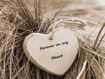 Forever in my Heart