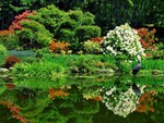 Garden Pond
