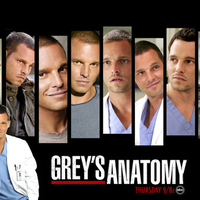 Greys Anatomy Alex