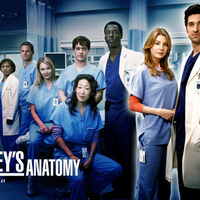 Greys Anatomy 