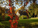 Autumn at Schloss muhr am See in Germany 