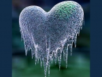 Cold cold heart