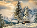 Splendid Winter Scenery