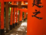 Torii Gate
